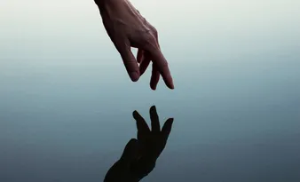 Imagem ilustrativa da imagem “Amar o que se move”