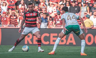 Imagem ilustrativa da imagem Minhas impressões