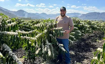 Imagem ilustrativa da imagem O que esperam produtores com a nova safra de café