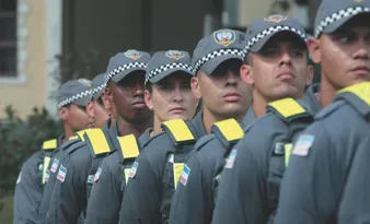 Imagem ilustrativa da imagem Os sete livros