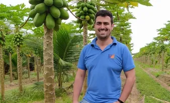 Imagem ilustrativa da imagem Produtores usam cera para preservar mamão para aumentar a durabilidade