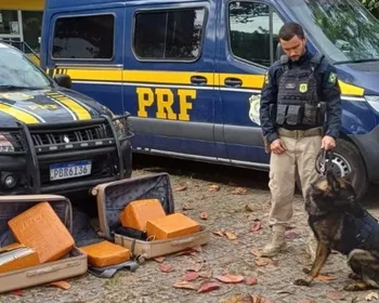 Imagem ilustrativa da imagem PRF prende passageiro transportando 52 kg de drogas, em Guarapari