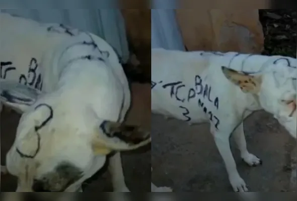 Cadela foi pichada com nomes e siglas ligadas a facções criminosas