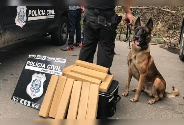 O cão desempenhou atividades policiais até 2022, quando se aposentou das ruas
