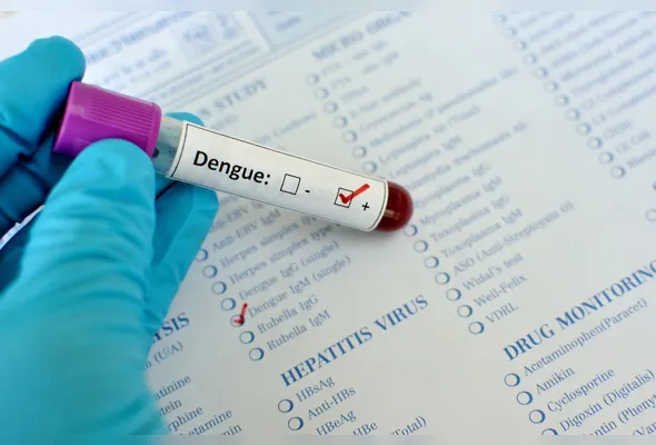 Foram confirmados no período quase 10 mil casos de dengue