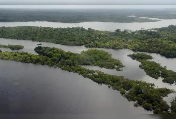 Imagem ilustrativa da imagem Entenda a licença da Petrobras para a Foz do Amazonas