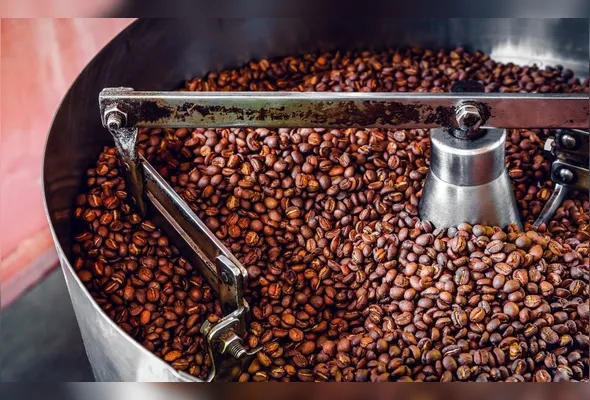 Imagem ilustrativa da imagem Nova indústria de café é inaugurada no Espírito Santo
