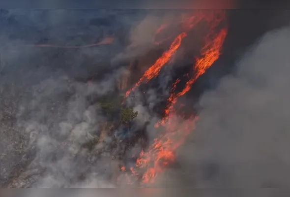 Imagem ilustrativa da imagem VÍDEO | Incêndio atinge área rural em Pancas após proprietário queimar lixo