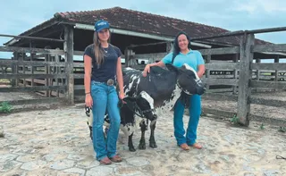 Imagem ilustrativa da imagem 14 mil sítios e fazendas do ES são comandados por mulheres