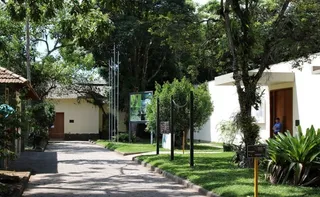 Imagem ilustrativa da imagem A ciência que nasce no quintal