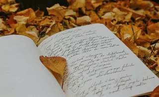 Imagem ilustrativa da imagem A influência sem angústia em Sub-versões, de Marcela Paiva