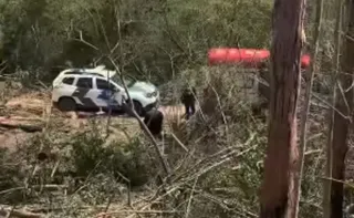 Imagem ilustrativa da imagem Adolescente morre após ser atingido por árvore de eucalipto no Sul do ES