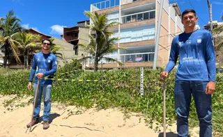 Imagem ilustrativa da imagem Área cercada para desova de tartarugas no litoral do ES