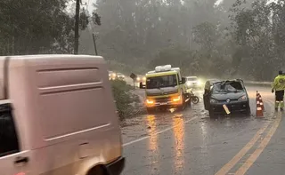 Imagem ilustrativa da imagem Árvore cai sobre carro e mata mulher de 35 anos em SP