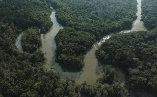 Imagem ilustrativa da imagem Ausência que preenche uma lacuna