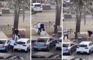 Imagem ilustrativa da imagem Austrália quer endurecer leis de armas de fogo após atentado antissemita em Sydney