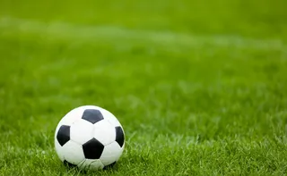 Imagem ilustrativa da imagem Banca de favorito