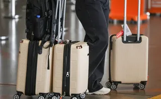 Imagem ilustrativa da imagem Brasil terá novas regras para entrada de produtos agropecuários em bagagens