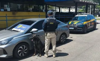 Imagem ilustrativa da imagem Carga de haxixe é encontrada por cão farejador escondida em banco de carro em Viana