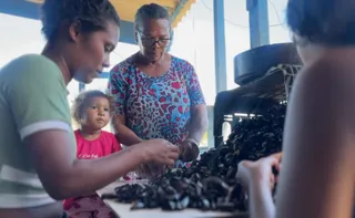 Imagem ilustrativa da imagem Cartilha reforça direitos das marisqueiras e paneleiras capixabas