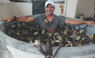 Imagem ilustrativa da imagem Comerciante capixaba faz "mergulho” em piscina de caranguejos