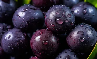 Imagem ilustrativa da imagem Conheça 15 ingredientes essenciais da cozinha paraense