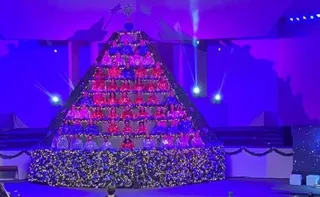 Imagem ilustrativa da imagem Convites para “Árvore que Canta” a partir de segunda-feira