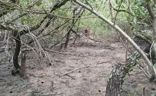 Imagem ilustrativa da imagem Corpo é encontrado em região de mangue de Vitória