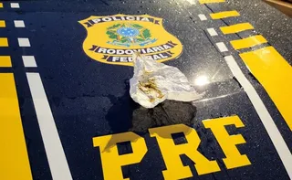 Imagem ilustrativa da imagem "Droga gourmet" avaliada em até R$ 300 por grama é apreendida pela PRF na Serra