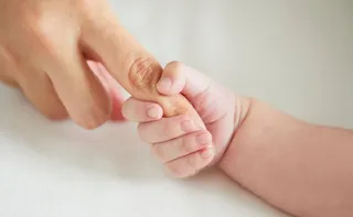 Imagem ilustrativa da imagem Elas existem: relembre 10 boas notícias de 2025