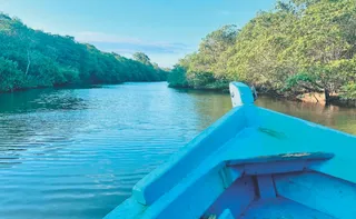 Imagem ilustrativa da imagem Emoção em roteiro com rios e praias em Anchieta