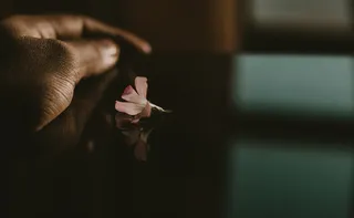 Imagem ilustrativa da imagem Entre abandonos e sonhos