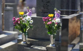 Imagem ilustrativa da imagem Entre o luto e a saudade