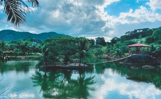 Imagem ilustrativa da imagem Interiorização da economia: o novo mapa do desenvolvimento