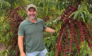 Imagem ilustrativa da imagem Irrigação para cafeeiro ter vigor após colheita