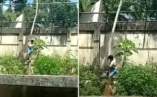 Imagem ilustrativa da imagem Jovem morto em zoo tinha transtornos mentais e queria cuidar de leões na África