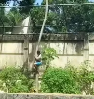 Imagem ilustrativa da imagem Jovem morto por leoa em zoológico pediu felicidade que nunca teve em carta de Natal