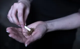 Imagem ilustrativa da imagem Mutirão reverte 3,6 mil condenações por porte de menos de 40 gramas de maconha