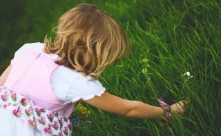 Imagem ilustrativa da imagem Nossos primeiros anos de vida