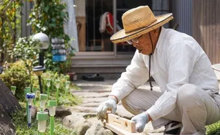 Imagem ilustrativa da imagem Número de idosos que trabalham chega a 181 mil no Estado, diz IBGE