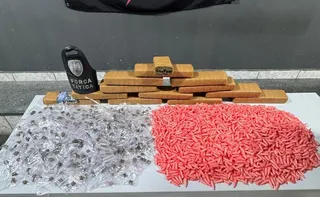 Imagem ilustrativa da imagem PM apreende mais de 2 mil pinos de cocaína e quase 8 kg de maconha em Cariacica