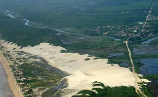 Imagem ilustrativa da imagem Parque Estadual de Itaúnas celebra 34 anos com atividades educativas