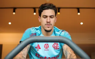 Imagem ilustrativa da imagem Pedro antecipa o retorno das férias e se apresenta