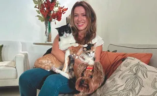 Imagem ilustrativa da imagem Pets mudam a rotina em mais de 1 milhão de lares no ES