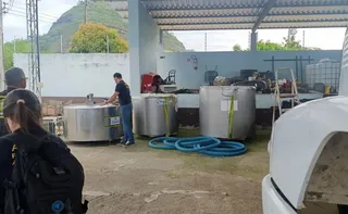 Imagem ilustrativa da imagem Polícia descarta 400 litros de leite e interdita estabelecimento clandestino