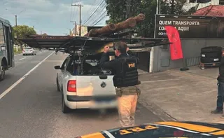 Imagem ilustrativa da imagem Polícia explica o limite de cargas em viagens
