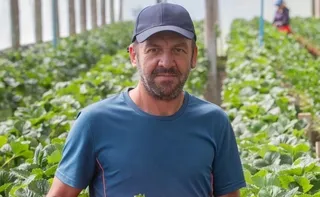 Imagem ilustrativa da imagem Polícia gaúcha afasta 18 agentes após morte de produtor de morangos em Pelotas