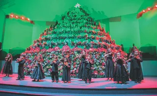 Imagem ilustrativa da imagem Temporada de cantatas e musicais na Grande Vitória!