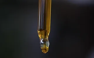 Imagem ilustrativa da imagem Uso de óleo de canabidiol por crianças autistas traz melhora na sociabilidade