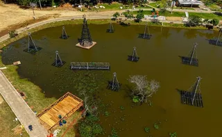 Imagem ilustrativa da imagem Vila de Natal em Cariacica terá deck sobre lago para fotos de árvores flutuantes